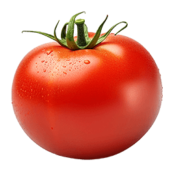 tomate